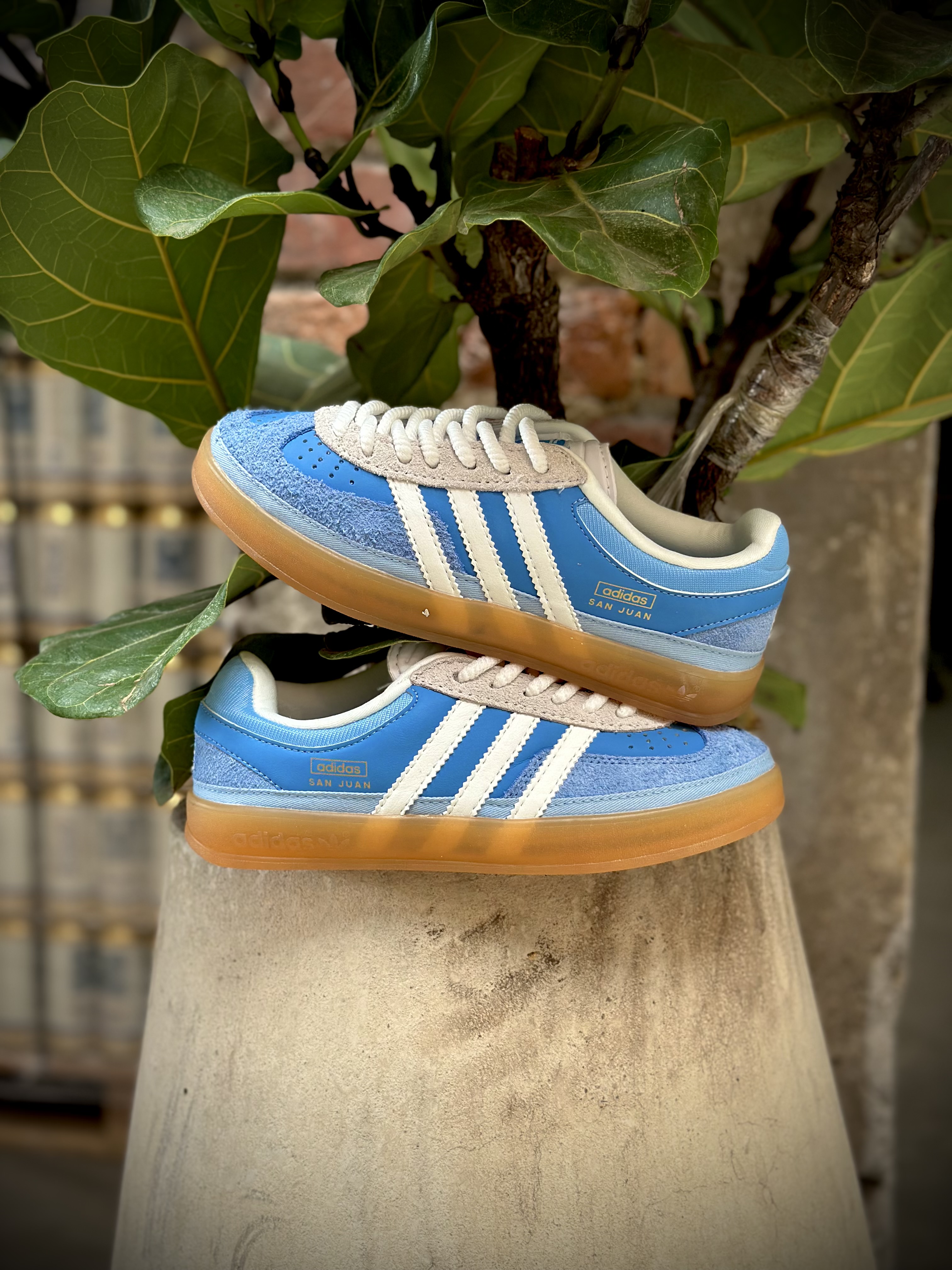 Adidas Gazelle Indoor "San Juan"